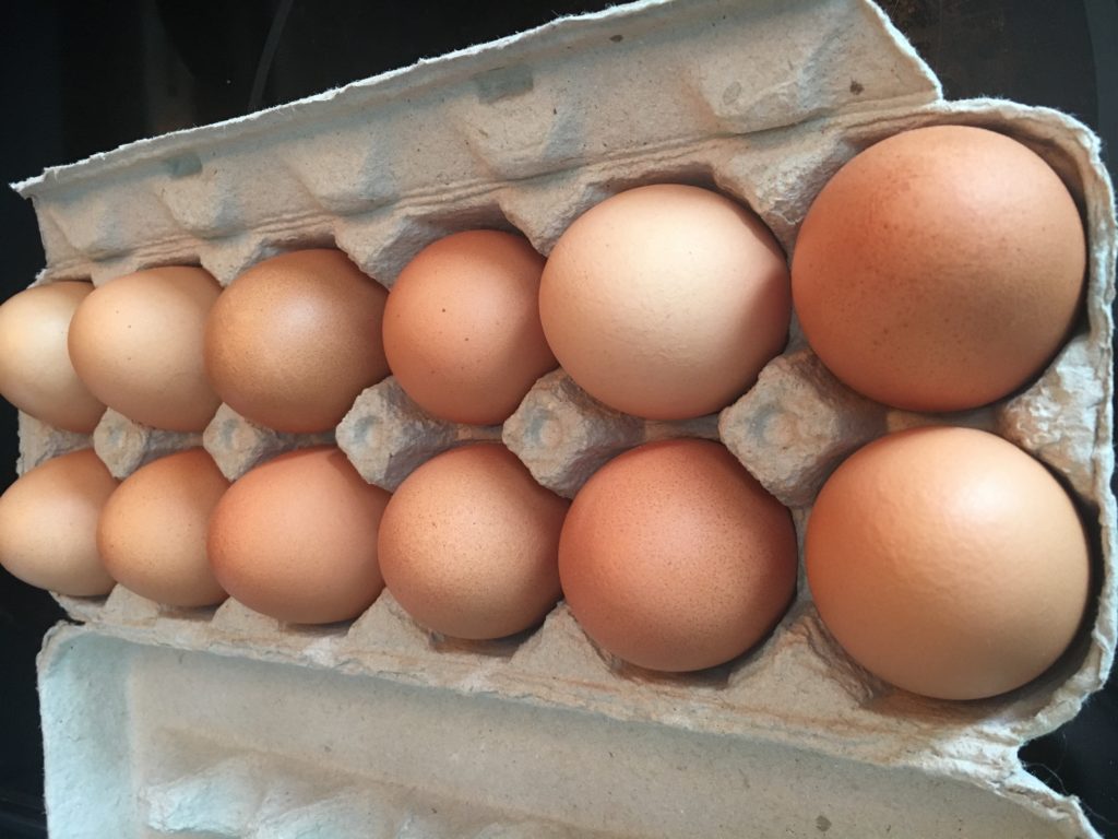 Nutritious Eggs