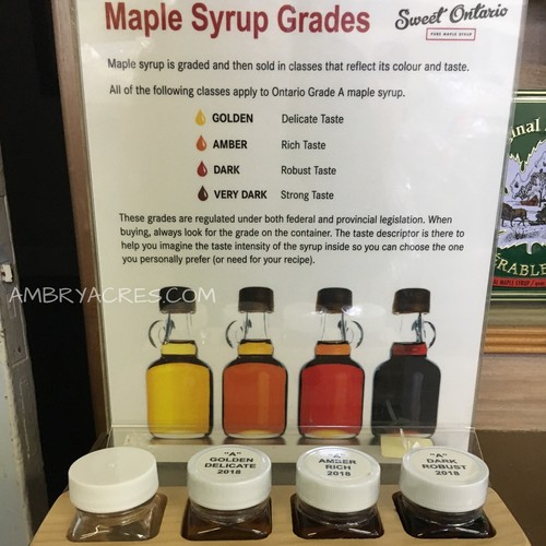 All 4 grades of maple syrup with a poster from Sweet Ontario