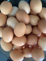 Ungraded Brown and White Eggs