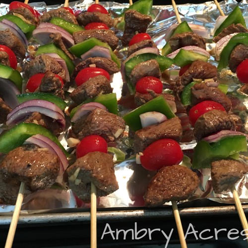Beef Kabobs with green peppers, red onions and cherry tomatoes
