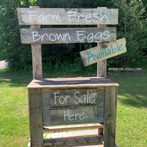 Farm Fresh Brown Eggs for Sale Stand