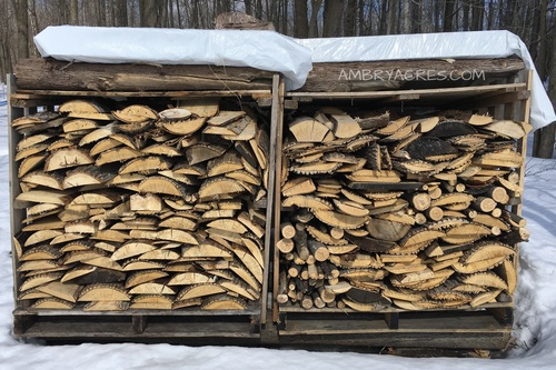 Two Pallet Boxes storing wood that is cut and split