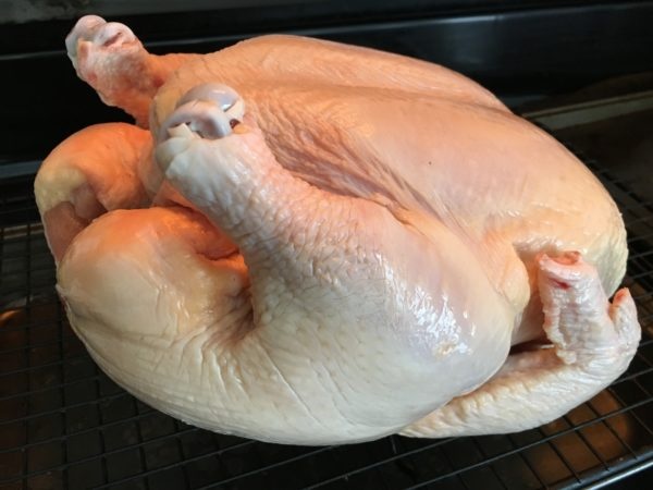 Broiler Whole Chicken