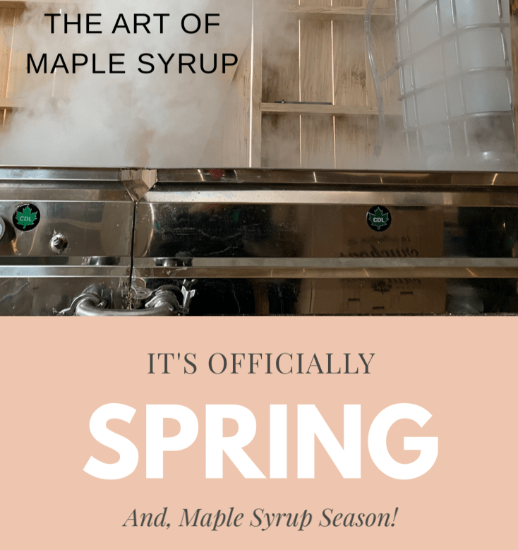 Maple Syrup Evaporator