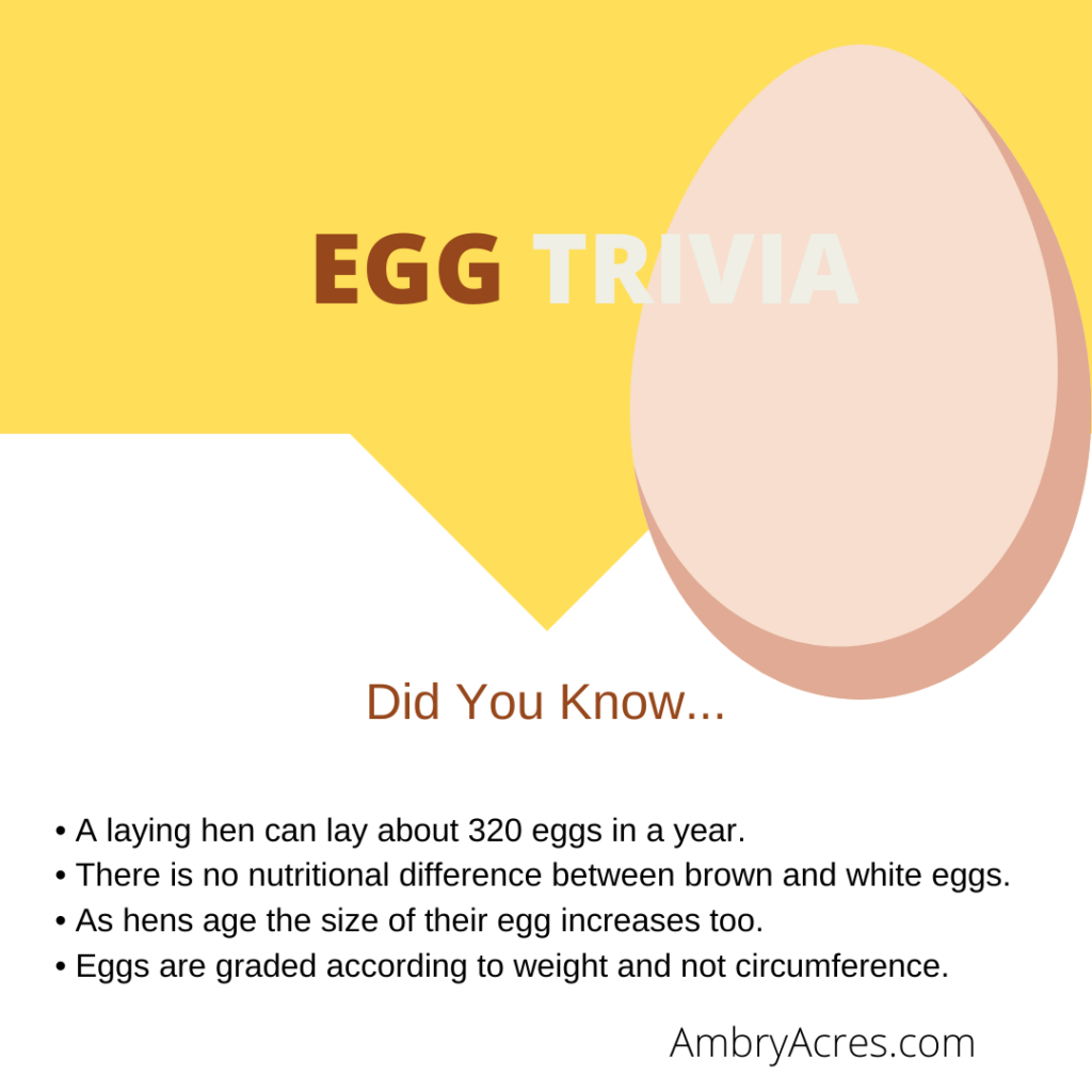 Egg Facts