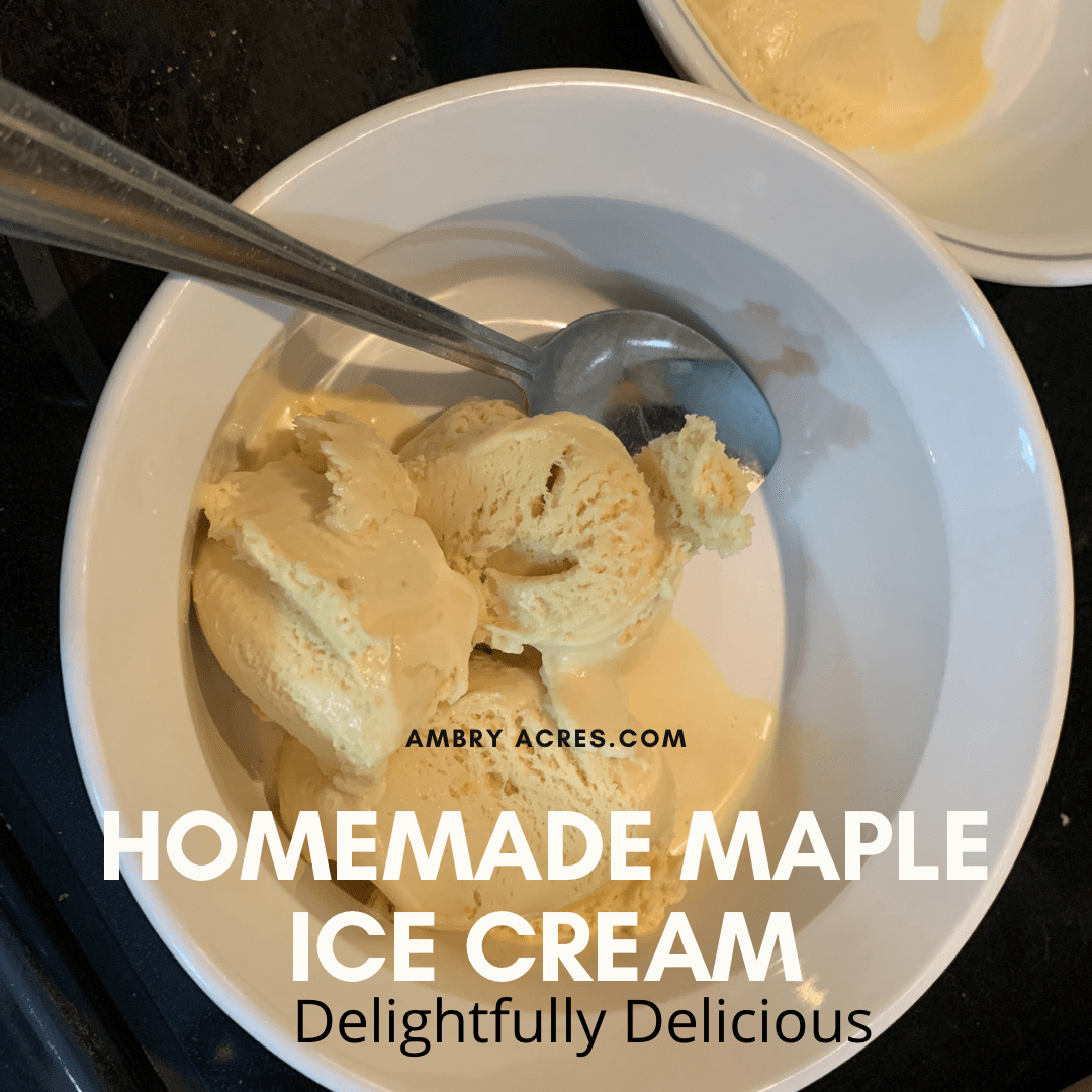 Ice Cream served in bowl with spoon