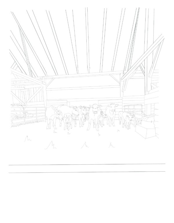 Cattle in barn coloring page