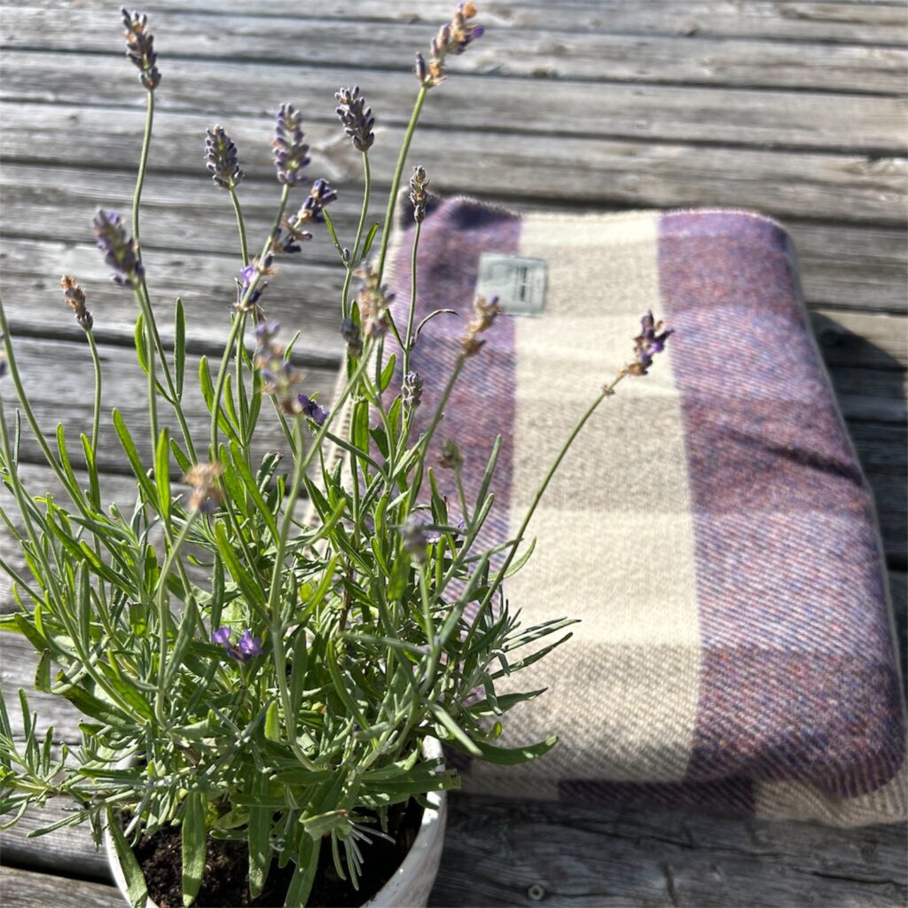 Lavender inspired wool blankets