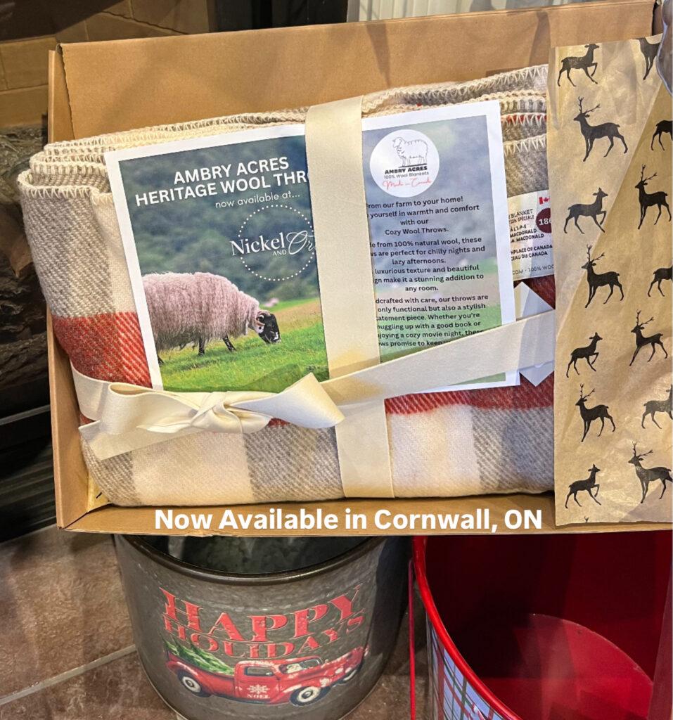 100% Wool Checkered Blankets